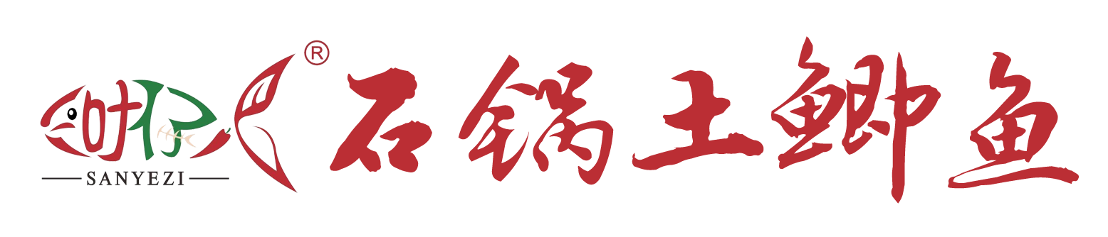 揭秘国产久久伊人影片的幕后故事，探索午夜片的魅力